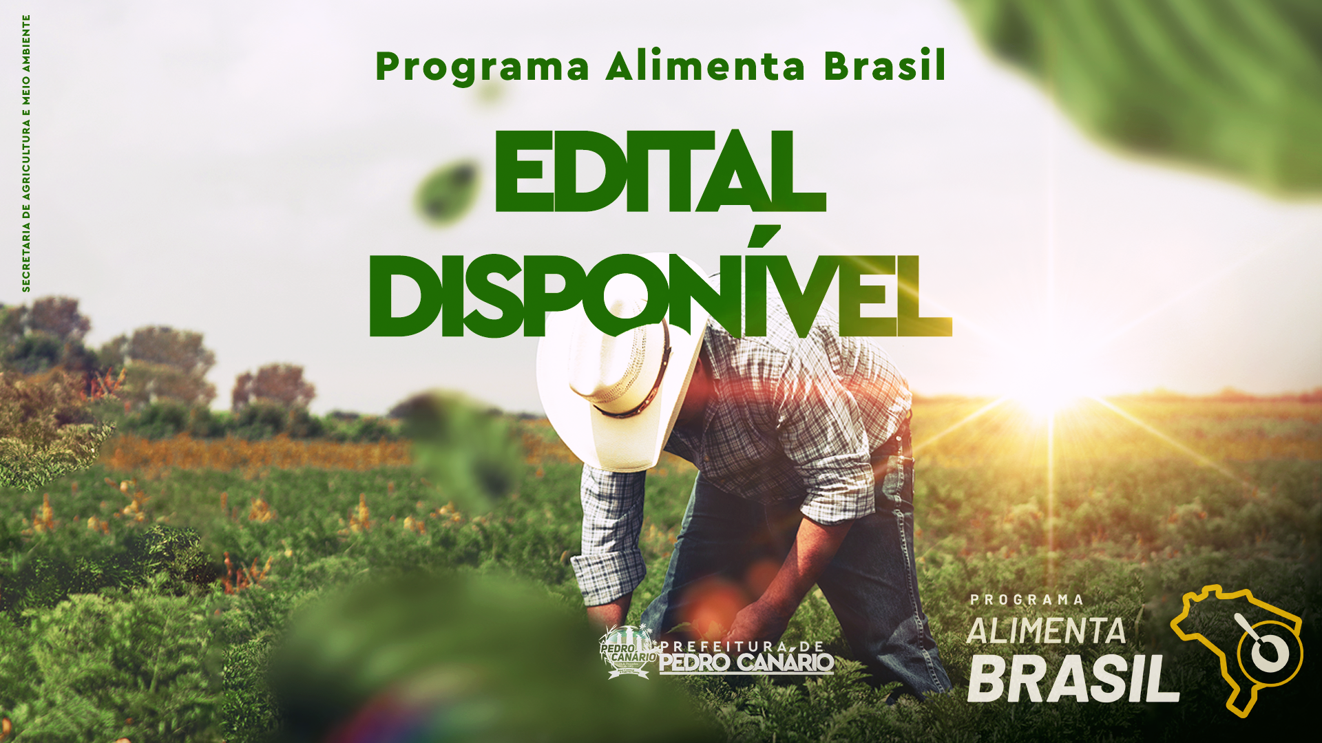 Programa Alimenta Brasil