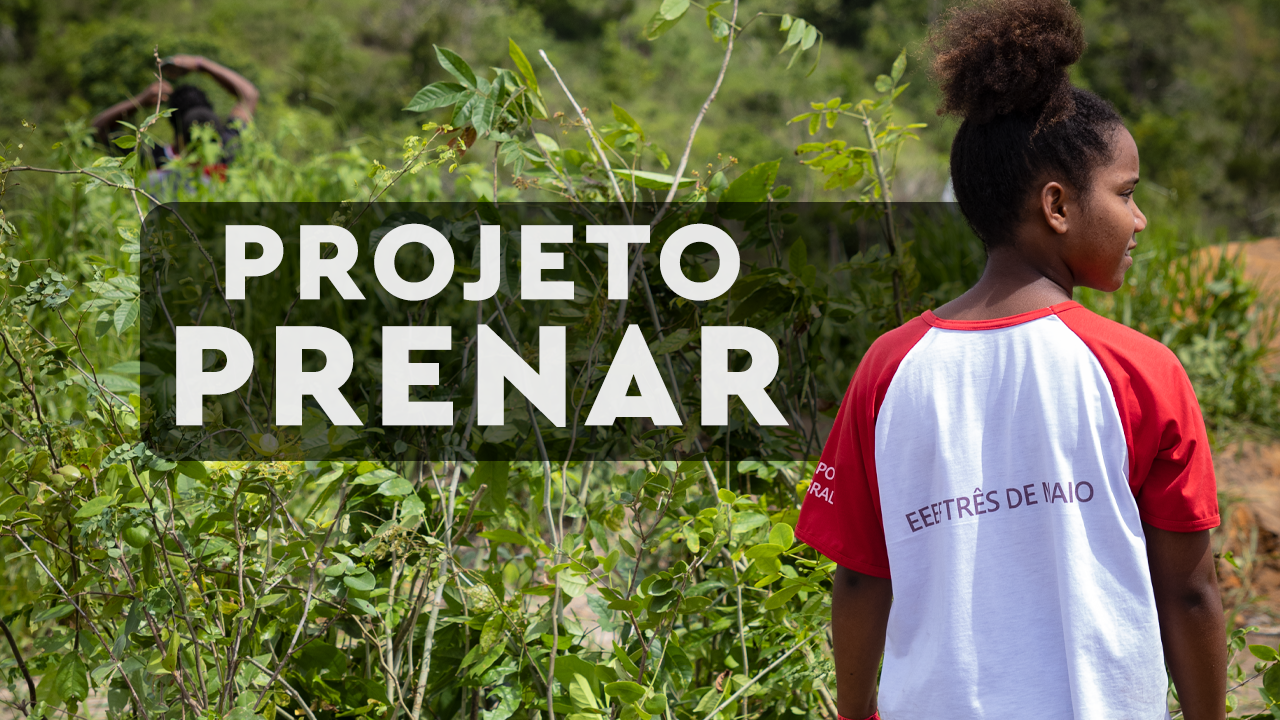 Mil mudas de árvores nativas da Mata Atlântica são plantadas em Pedro Canário